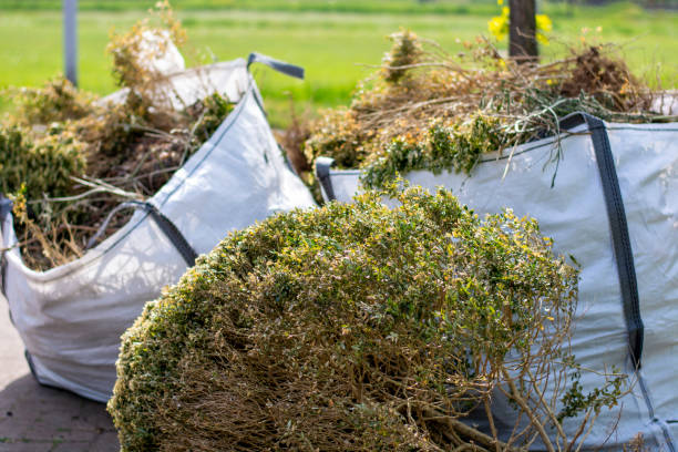 Best Full-Service Junk Removal  in Bellview, FL